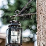 parco segurtà