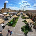 #erba #primaveraerba