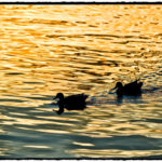 #lecco #comolake #streetphotography