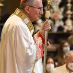 #parolin #cardinaleparolin #papafrancesco