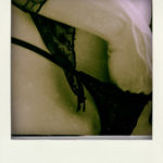 #boudoir #fotoboudoir #gralour #modelle